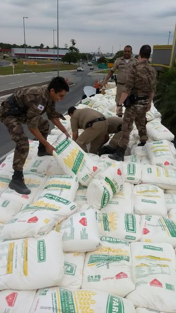 Polícia Militar apreende 2 toneladas de drogas e 40 armas de uso restrito; é a maior apreensão em Divinópolis